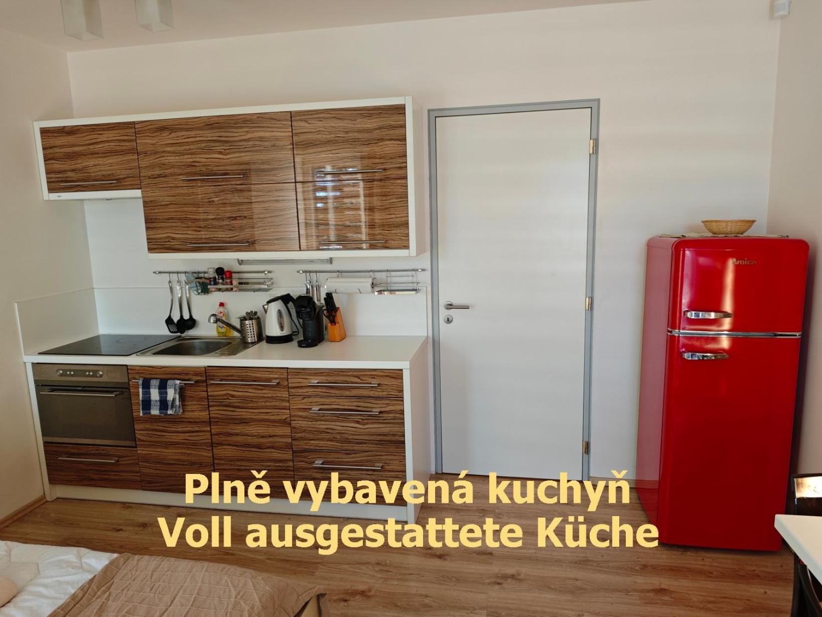 Apartman Sova - Klinovec Loučná pod Klínovcem Екстериор снимка